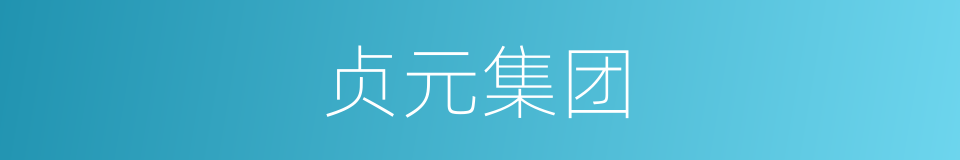 贞元集团的同义词