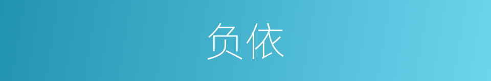 负依的意思