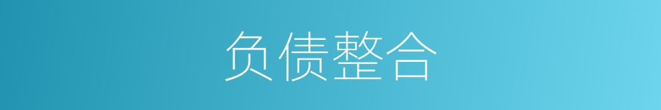 负债整合的同义词