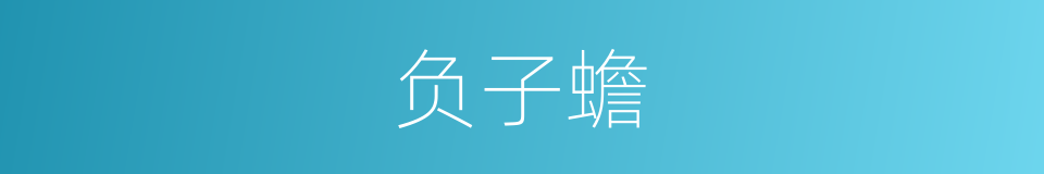 负子蟾的同义词