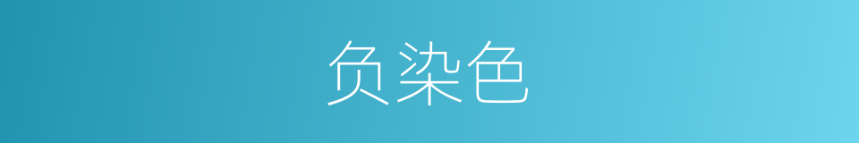 负染色的同义词