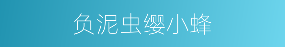 负泥虫缨小蜂的同义词