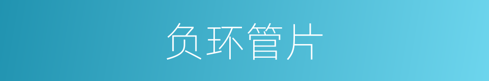 负环管片的同义词