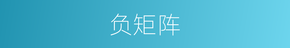 负矩阵的同义词