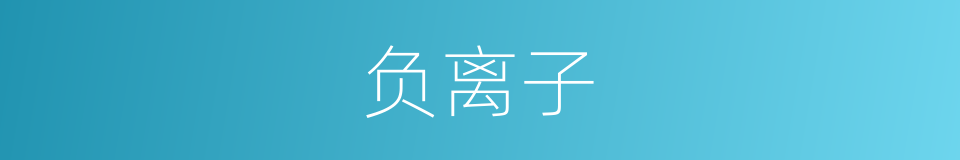 负离子的意思