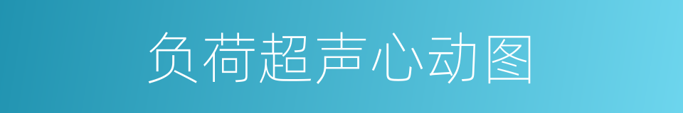 负荷超声心动图的同义词