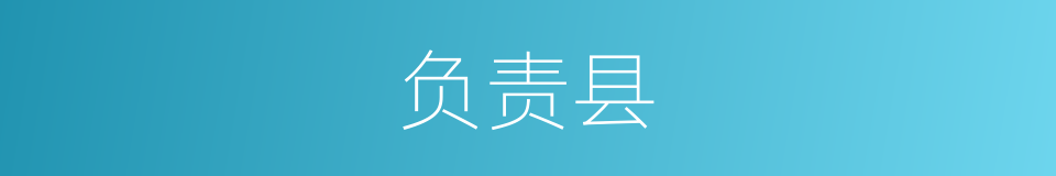 负责县的同义词