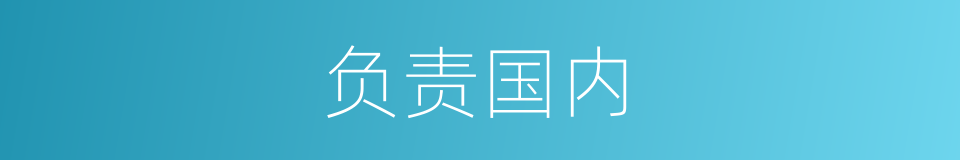 负责国内的同义词