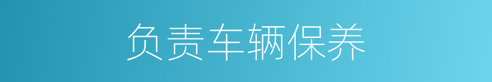 负责车辆保养的同义词