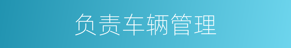 负责车辆管理的同义词