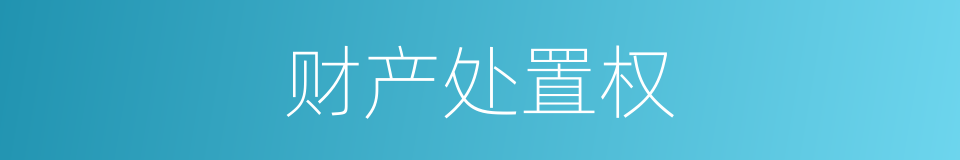 财产处置权的同义词