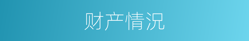 财产情況的同義詞