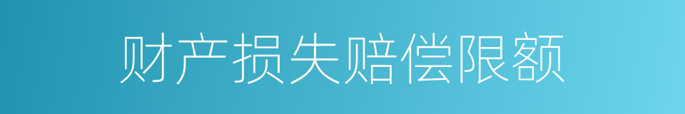 财产损失赔偿限额的同义词