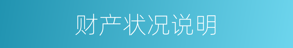 财产状况说明的同义词