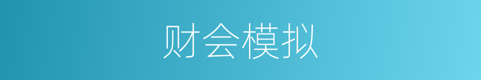 财会模拟的同义词