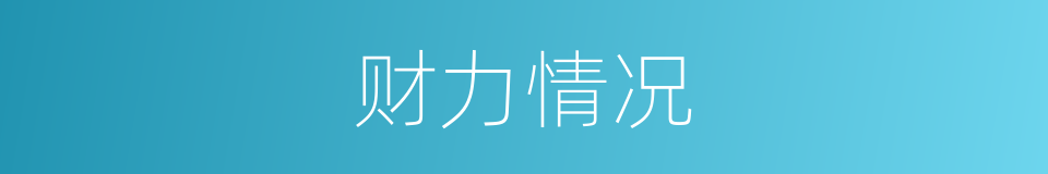 财力情况的同义词