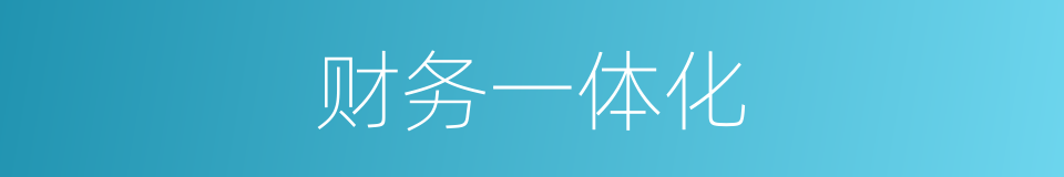 财务一体化的同义词