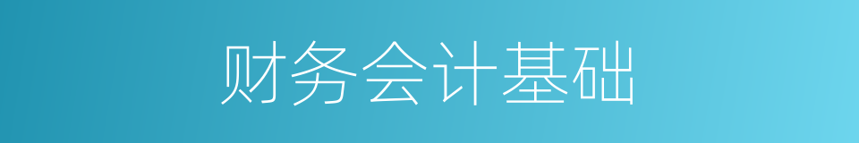 财务会计基础的同义词