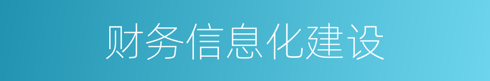 财务信息化建设的同义词