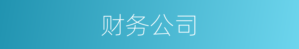 财务公司的意思