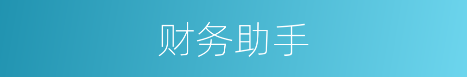 财务助手的同义词