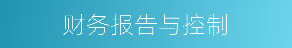 财务报告与控制的同义词