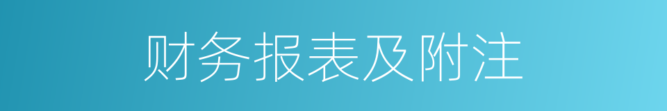 财务报表及附注的同义词