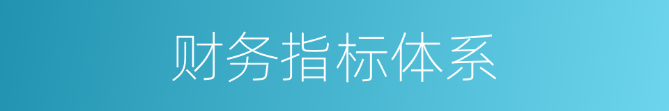 财务指标体系的同义词