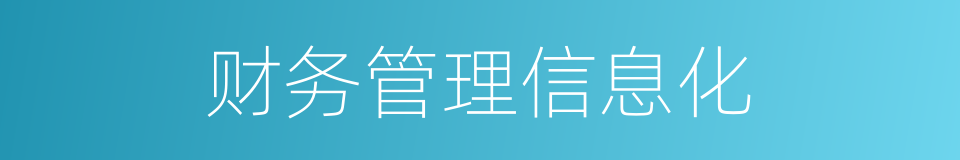 财务管理信息化的同义词