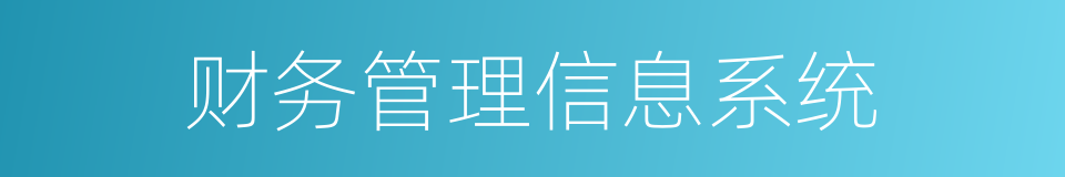 财务管理信息系统的同义词