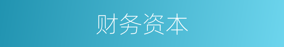 财务资本的同义词