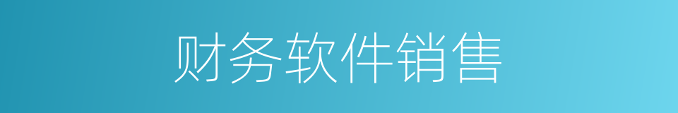 财务软件销售的同义词