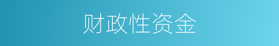 财政性资金的同义词
