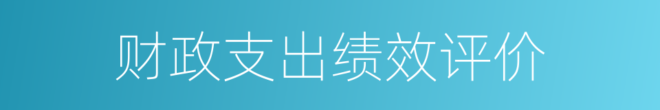 财政支出绩效评价的同义词