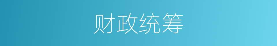 财政统筹的同义词