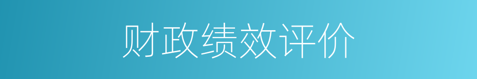 财政绩效评价的同义词