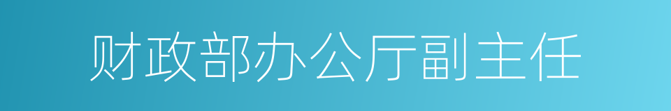 财政部办公厅副主任的同义词