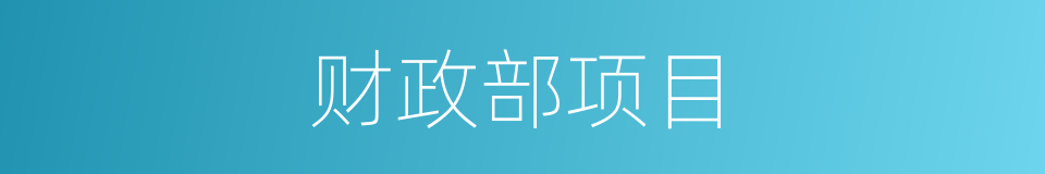 财政部项目的同义词