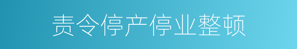 责令停产停业整顿的同义词
