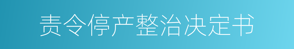 责令停产整治决定书的同义词