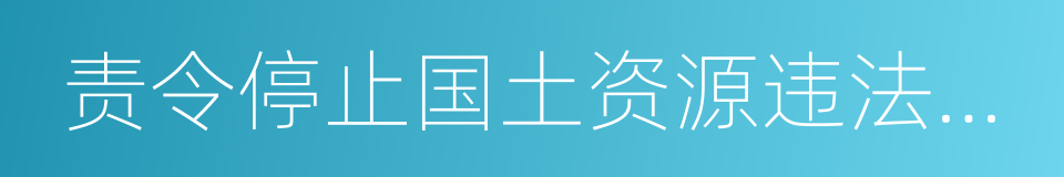 责令停止国土资源违法行为通知书的同义词