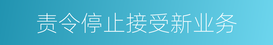 责令停止接受新业务的同义词