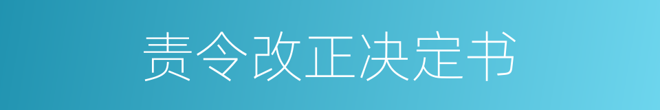 责令改正决定书的同义词