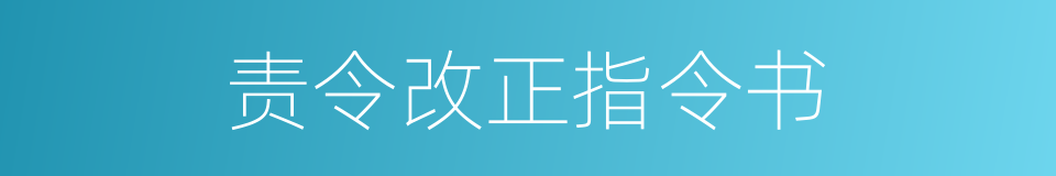 责令改正指令书的同义词