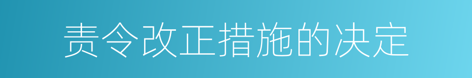 责令改正措施的决定的同义词