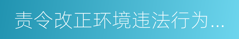 责令改正环境违法行为决定书的同义词