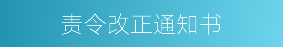 责令改正通知书的同义词