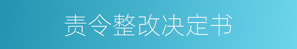 责令整改决定书的同义词