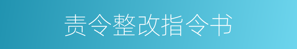 责令整改指令书的同义词