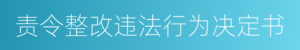 责令整改违法行为决定书的同义词